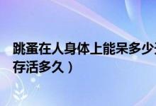 跳蚤在人身體上能呆多少天才會(huì)死亡（跳蚤一般能在人身上存活多久）