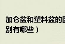 加侖盆和塑料盆的區(qū)別（加侖盆和塑料盆的區(qū)別有哪些）