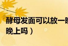 酵母發(fā)面可以放一晚上嗎（酵母發(fā)面可以放一晚上嗎）