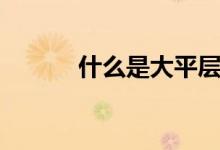 什么是大平層（什么是大小年）