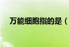 萬能細胞指的是(萬能細胞指的是什么)