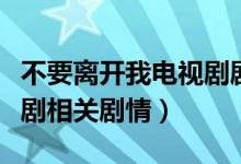 不要離開我電視劇劇情介紹（不要離開我電視劇相關(guān)劇情）