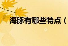 海豚有哪些特點(diǎn)（海豚最大特點(diǎn)是什么）