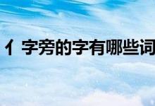 亻字旁的字有哪些詞語（亻字旁的字有哪些）