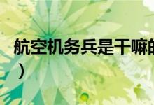 航空機(jī)務(wù)兵是干嘛的(航空機(jī)務(wù)兵是干什么的)