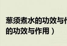 蔥須煮水的功效與作用孕婦能喝嗎（蔥須煮水的功效與作用）