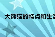 大熊貓的特點(diǎn)和生活特征（大熊貓的特點(diǎn)）