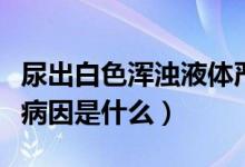 尿出白色渾濁液體嚴重嗎（尿出白色渾濁液體病因是什么）