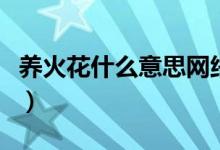 養(yǎng)火花什么意思網(wǎng)絡(luò)用語（養(yǎng)火花什么意思?。?class=