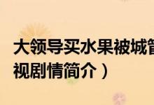 大領導買水果被城管打是什么電視?。绎L電視劇情簡介）