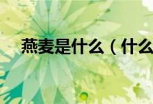 燕麥?zhǔn)鞘裁矗ㄊ裁唇醒帑溠帑滈L什么樣）