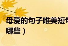 母愛(ài)的句子唯美短句（母愛(ài)的句子唯美短句有哪些）