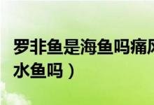 羅非魚(yú)是海魚(yú)嗎痛風(fēng)病人能吃嗎(羅非魚(yú)是海水魚(yú)嗎)