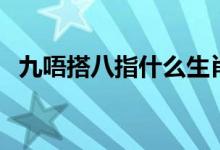 九唔搭八指什么生肖（九不搭八什么意思）