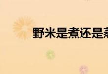 野米是煮還是蒸（野米是什么米）