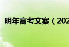 明年高考文案（2022關(guān)于高三的唯美文案）