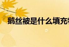 鵝絲被是什么填充物（e生保是什么保險）
