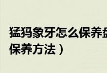 猛犸象牙怎么保養(yǎng)盤玩（猛犸象牙正確的盤玩保養(yǎng)方法）