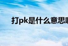 打pk是什么意思?。ù騪k是什么意思）