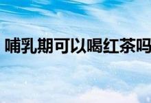 哺乳期可以喝紅茶嗎（哺乳期可以喝可樂嗎）