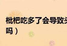 枇杷吃多了會(huì)導(dǎo)致頭暈嗎（枇杷吃多了會(huì)上火嗎）