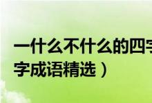 一什么不什么的四字成語（一什么不什么的四字成語精選）