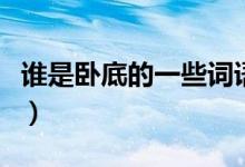 誰(shuí)是臥底的一些詞語(yǔ)(誰(shuí)是臥底的詞語(yǔ)有哪些)