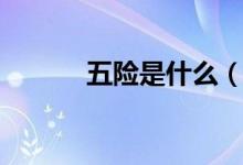 五險(xiǎn)是什么（五險(xiǎn)有什么特點(diǎn)）