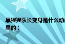 黑猩猩隊(duì)長(zhǎng)變身是什么動(dòng)畫片（黑猩猩隊(duì)長(zhǎng)變身是超能勇士里的）