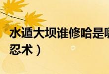 水遁大壩誰(shuí)修哈是哪一集（大壩誰(shuí)修哈是什么忍術(shù)）
