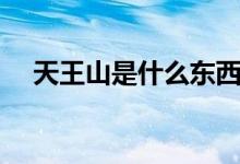 天王山是什么東西（天王山是什么意思）