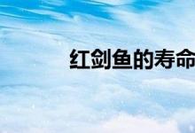紅劍魚的壽命（大概能活多久）