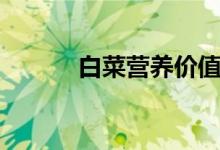 白菜營(yíng)養(yǎng)價(jià)值（一起來(lái)了解下）