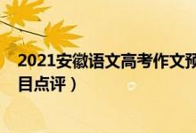 2021安徽語文高考作文預(yù)測（2022年安徽高考語文作文題目點評）