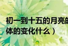 初一到十五的月亮的變化（初一到十五月亮總體的變化什么）