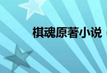 棋魂原著小說（棋魂電視劇簡介）