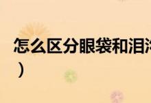 怎么區(qū)分眼袋和淚溝（怎么區(qū)分眼袋和黑眼圈）