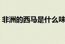非洲的西馬是什么味道（非洲的西馬是什么）