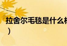 拉舍爾毛毯是什么材質(zhì)（拉舍爾毛毯是何材質(zhì)）
