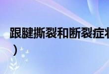跟腱撕裂和斷裂癥狀（跟腱撕裂和斷裂的區(qū)別）