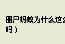 僵尸螞蟻為什么這么可怕（僵尸螞蟻真的存在嗎）