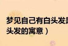 夢(mèng)見(jiàn)自己有白頭發(fā)是什么意思（夢(mèng)見(jiàn)自己有白頭發(fā)的寓意）