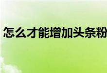 怎么才能增加頭條粉絲(怎么才能增長(zhǎng)增粗)