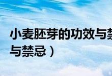 小麥胚芽的功效與禁忌人群（小麥胚芽的功效與禁忌）