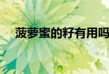 菠蘿蜜的籽有用嗎（菠蘿蜜的籽如何種）