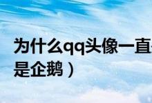 為什么qq頭像一直是企鵝（QQ頭像為什么會(huì)是企鵝）