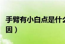 手臂有小白點是什么（手臂有小白點是什么原因）