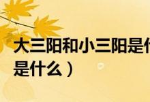 大三陽和小三陽是什么意思（大三陽和小三陽是什么）