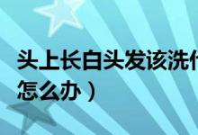 頭上長(zhǎng)白頭發(fā)該洗什么洗發(fā)水（頭上長(zhǎng)白頭發(fā)怎么辦）