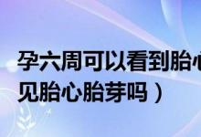 孕六周可以看到胎心胎芽了嗎（懷孕六周能看見(jiàn)胎心胎芽嗎）